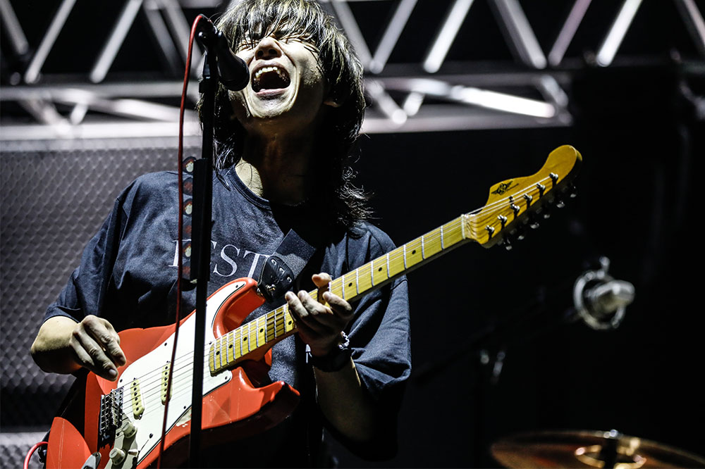 10.4 キュウソネコカミ